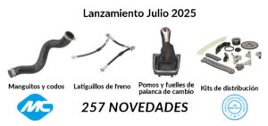 MC Lanzamiento Julio 2025 ES
