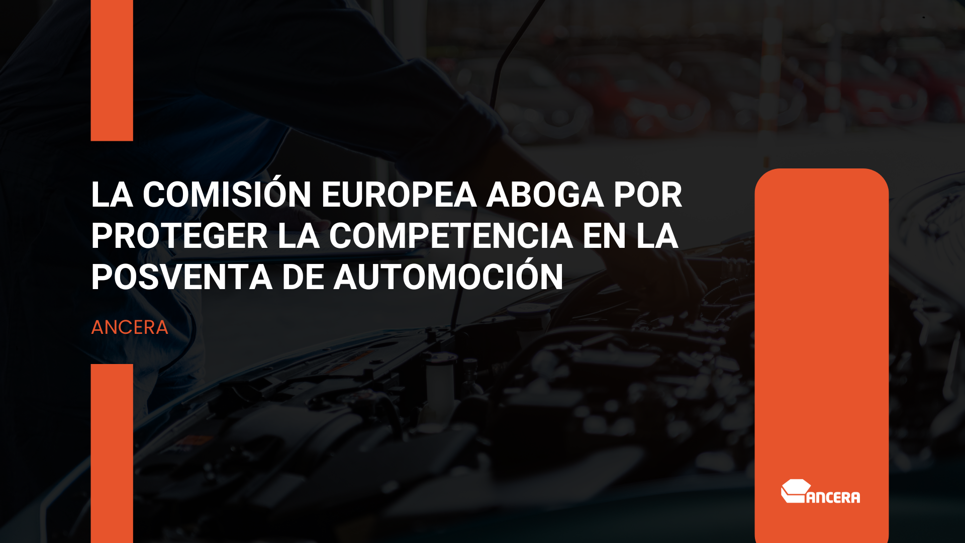 La Comisión Europea reconoce la importancia